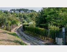 Ein schmaler, unbefestigter Weg führt durch eine grüne Gartenkolonie mit Zäunen und dichtem Bewuchs aus Sträuchern und Bäumen. Im Hintergrund sind moderne Wohnhäuser auf einem Hügel sowie weitere Grünflächen sichtbar.