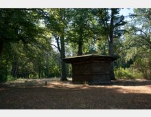 Holzhütte in einem lichten Waldgebiet, umgeben von hohen Bäumen und trockenem Boden, bedeckt mit Laub. Die Hütte weist sichtbare Abnutzungsspuren auf und befindet sich inmitten einer natürlichen Umgebung.