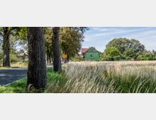 Landstraße mit Bäumen am Straßenrand, neben einem Getreidefeld. Im Hintergrund ein grünes Fachwerkhaus mit rotem Dach, umgeben von Bäumen und Vegetation, sowie ein Ortsschild mit der Aufschrift "Bad Wilsnack".