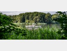 Ein kleines Motorboot schwimmt auf einem ruhigen See, umgeben von hohen Schilfgräsern im Vordergrund und einem dichten Wald im Hintergrund. Die Szene wirkt abgeschieden und naturbelassen.