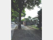 Gepflasterte Straße mit Bäumen, die Schatten spenden, daneben ein schmaler unbefestigter Weg und ein Metallzaun, hinter dem ein Gebäude mit weißer Fassade und dunklen Fensterläden zu sehen ist. Im Hintergrund befinden sich weitere Häuser und Grünflächen.