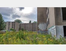 Verlassene Wohngebäude mit einfacher Betonfassade und zahlreichen offenen Fensteröffnungen, umgeben von dicht überwuchertem Gelände mit Wildpflanzen und Graffiti an den Wänden; im Hintergrund Bäume und bewölkter Himmel.