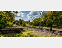 Ein stillgelegter Bahnübergang mit zwei Bahngleisen, umgeben von Bäumen und dichter Vegetation. Im Vordergrund liegen Holzstapel, und im Hintergrund sind Strommasten sowie ein sonniger Himmel mit Wolken zu sehen.
