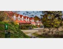 Eine Reihe von Einfamilienhäusern mit roten Ziegeldächern und weißen Giebeln steht entlang einer ruhigen Wohnstraße, umgeben von Bäumen, Hecken und einem Grünstreifen mit herbstlicher Vegetation. Im Vordergrund ist ein Mülleimer und ein Weg sichtbar, der in die Siedlung führt.
