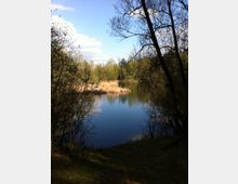 Ein kleiner See in einer Waldlandschaft mit Bäumen und Sträuchern am Ufer; im Hintergrund stehen Schilfrohre und der Himmel ist teils bewölkt.