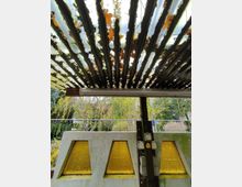 Ein überdachter Bereich mit wellenförmigem, durchscheinendem Kunststoffdach, durch das Blätter und Pflanzen sichtbar sind. Im Vordergrund befindet sich eine Betonwand mit zwei gelben, dreieckigen Fenstern, dahinter sind grüne Sträucher und Bäume erkennbar.