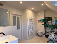 Modernes Badezimmer mit hellen Wänden, einer freistehenden weißen Waschbeckenarmatur, einem Wand-WC, einem Handtuchheizkörper und einer schwarzen Regalablage. Links ist eine teilweise geflieste Duschwand mit blauen Kacheln sichtbar, während im Vordergrund eine große grüne Zimmerpflanze steht.