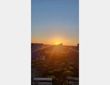 Ein begrüntes Flachdach mit einer niedrigen Vegetation und Sitzbänken im Vordergrund, eingefasst von einem Metallgeländer; im Hintergrund ein Sonnenuntergang über einer Stadt mit vereinzelten Gebäuden und einem leicht bewölkten Himmel.
