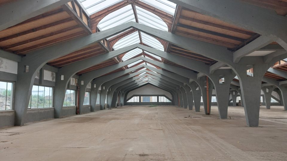 Weitläufige, leere Lagerhalle mit einem Dach aus Glaspaneelen, das auf großen, grauen Betonbögen ruht. Die Halle verfügt über seitliche Fensterfronten und eine sichtbare Holzunterkonstruktion im Dach.