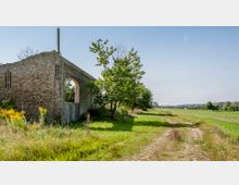 Eine überwucherte Ruine aus Backstein mit einem großen, gemauerten Torbogen steht neben einem Feldweg, umgeben von Gras und Bäumen. Im Hintergrund erstrecken sich Felder und eine flache Landschaft unter klarem, blauem Himmel.