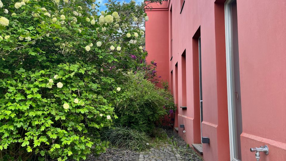 Schmaler gepflasterter Weg entlang einer rosafarbenen Gebäudefassade mit tiefen Fenster- und Türnischen. Links begrenzt dichter, blühender Strauchbewuchs den Weg, mit Kiesstreifen und kleinem Außenwasserhahn an der Wand.