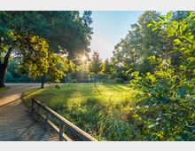 Parklandschaft bei Sonnenuntergang mit Wiese, Bäumen und einem schmalen Holzsteg im Vordergrund, der über eine kleine feuchte Vegetation führt. Im Hintergrund sind verschlungene Wege und dichtes Baumwerk zu sehen.