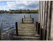 Holzsteg an einem See, der von Schilf und Bäumen am Ufer umgeben ist; rechts im Bild grenzt eine verwitterte Holzwand an den Steg. Der Himmel ist mit weißen Wolken bedeckt.