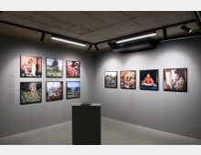 Ausstellungsraum mit grauen Wänden, auf denen neun gerahmte Fotografien in zwei Reihen hängen. In der Mitte steht ein schlichter, grauer Podest, die Beleuchtung erfolgt durch Deckenscheinwerfer und moderne Leuchten.