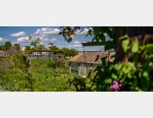 Grünes Gartengelände mit einem alten Gewächshaus im Vordergrund, umgeben von Pflanzen und lilafarbenen Blüten. Im Hintergrund sind ein Wasserturm und weitere Gebäude unter blauem Himmel mit weißen Wolken zu sehen.
