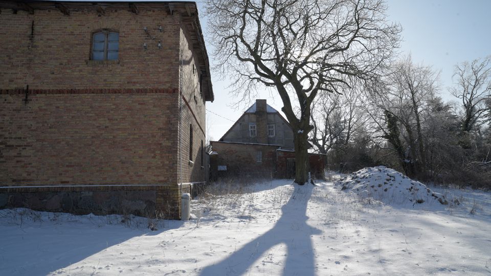 Verschneiter Hofbereich mit einem großen, kahlen Baum in der Mitte, dessen Schatten über den Schnee fällt. Links steht ein zweigeschossiges Backsteingebäude, im Hintergrund ein weiteres Wirtschaftsgebäude mit Satteldach, umgeben von winterlichen Bäumen und Sträuchern.
