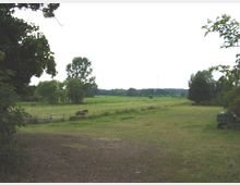 Weite, grasbedeckte Wiese mit eingezäunten Koppeln, auf denen Pferde weiden. Im Hintergrund stehen einzelne Bäume und Büsche, dahinter erstreckt sich flaches, ländliches Gelände.
