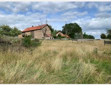 Weite Wiesenfläche mit hohem Gras und vereinzelten Pflanzen, im Hintergrund stehen mehrere Gebäude mit roten Ziegeldächern und Fassaden aus Backstein, umgeben von Bäumen. Am Himmel ziehen teils bewölkte, teils blaue Abschnitte vorbei.