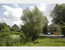 Kleine Dorfstraße mit Häusern am Rand, umgeben von dichter Vegetation. Im Vordergrund ein mit Schilf bewachsener Teich, im Hintergrund einzelne Bäume und bewölkter Himmel.