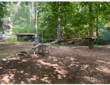 Abenteuerspielplatz im Wald mit Kletterelementen aus Holz und Seilen, darunter eine Hängebrücke und Plattformen, die an Bäumen befestigt sind. Im Hintergrund sind dichtes Laub, Bäume und ein kleines Gebäude zu sehen.