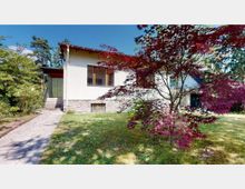 Einfamilienhaus mit heller Putzfassade und gemauertem Sockel, umgeben von einem Garten mit Rasenfläche und einem roten Ahornbaum im Vordergrund. Rechts neben dem Haus sind weitere Bäume und Vegetation zu sehen.