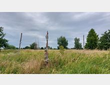 Wiese mit hohem Gras und vereinzelten Bäumen im Hintergrund, in der Mitte eine hölzerne Skulptur mit geschnitzten Verzierungen, umgeben von weiteren Holzstämmen. Der Himmel ist bewölkt.