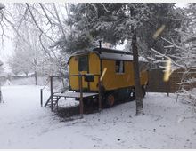 Ein gelb-grüner Bauwagen steht auf einem schneebedeckten Grundstück unter Bäumen. Im Hintergrund sind ein Holzzaun und weitere verschneite Bäume sichtbar.