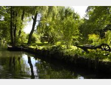 Eine idyllische Uferlandschaft mit dichtem Grün, Bäumen und Sträuchern, die sich im ruhigen Wasser eines schmalen Kanals spiegeln. Am Ufer sind ein kleines Boot und eine alte Schubkarre zu sehen, umgeben von blühenden Pflanzen und gepflegten Beetelementen.