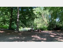 Ein schattiger Waldabschnitt mit hohen Bäumen und dichtem Blattwerk, darunter ein kleiner Teich im Hintergrund. Zwei Menschen stehen in der Nähe eines umgestürzten Baumstamms, einer mit einem Kinderwagen.