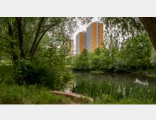 Ein kleiner Teich mit dichtem, grünem Bewuchs aus Bäumen und Sträuchern im Vordergrund, dahinter ragen mehrere orangefarbene Wohnhochhäuser in den Himmel. Der Bereich wirkt ruhig und naturbelassen, umgeben von Schilf und dichtem Grün.