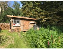 Holzhütte auf einem grünen Grundstück, umgeben von hohen Bäumen und dichtem Bewuchs. Neben der Hütte stapeln sich Holzscheite, und am Fenster sind Blumentöpfe mit roten Blumen sichtbar.