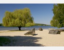Ein Sandstrand mit mehreren großen Steinen, einer hängenden Weide und Blick auf einen See. Im Hintergrund sind Waldgebiete, Schwäne auf dem Wasser und ein Segelboot zu sehen.