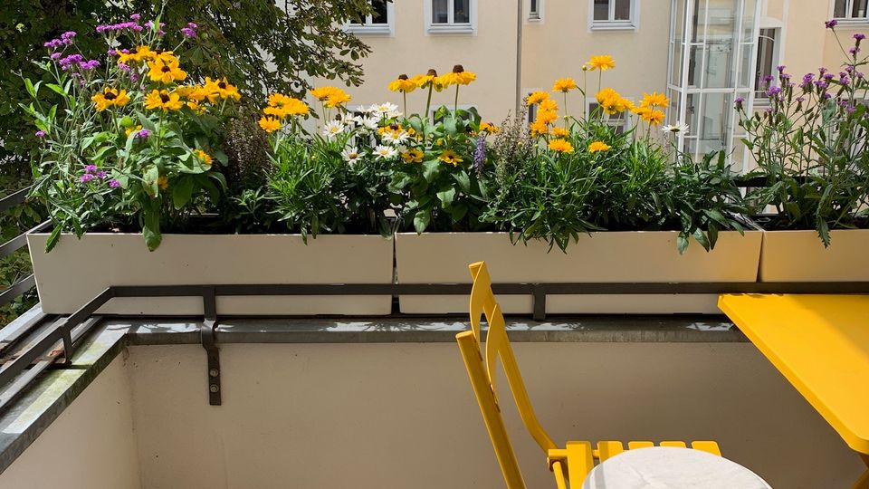 Kleiner Balkon mit Holzfliesen, gelbem Klapptisch und -stuhl sowie einer gelben Gießkanne; entlang des Geländers stehen Blumenkästen mit bunten Blumen. Im Hintergrund sind ein großer Baum und die Fassade eines gegenüberliegenden Wohngebäudes mit mehreren Fenstern zu sehen.