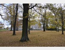 Herrenhaus aus hellem Stein mit großen Fenstern, umgeben von herbstlichen Bäumen und einer von Laub bedeckten Wiese; im Hintergrund sind weitere kleine Gebäude und ein offener Himmel zu sehen.
