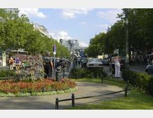 Eine belebte Straßenszene mit Grünanlagen und Blumenbeeten im Vordergrund, gesäumt von Bäumen und flankiert von Gehwegen. Im Hintergrund sind mehrstöckige Gebäude und parkende Autos zu sehen.