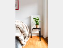 Ein heller Innenraum mit Holzboden, einer weißen Wand und einem Heizkörper. Ein kleiner schwarzer Beistelltisch mit einer grünen Pflanze in einem Korb steht vor dem Heizkörper; links ist eine graue Couch mit einer Kunstfelldecke erkennbar.