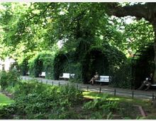 Ein Park mit dichtem Grün, weißen Bänken entlang eines gepflasterten Weges und gewölbten Rankgittern, die mit Pflanzen überwachsen sind. Im Vordergrund befindet sich eine bepflanzte Fläche, während große Bäume Schatten spenden.