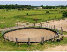 Ein runder, eingezäunter Sandplatz, umgeben von grünen Wiesen und Weideland mit Bäumen im Hintergrund. Der Zaun besteht aus Metallgeländern und Holzpfosten, und die Umgebung deutet auf eine ländliche Landschaft hin.