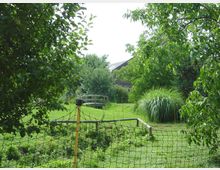 Ein ländlicher Garten mit dichtem Grün, einer kleinen Holzbrücke im Hintergrund und einem Maschendrahtzaun im Vordergrund. Im Garten sind verschiedene Bäume, Büsche und eine große Grasbüschelpflanze zu sehen.