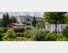 Ein Garten mit dichtem Grün, im Vordergrund Büsche und Bäume. Im Hintergrund sind mehrere kleine Häuser mit roten Dächern sowie mehrstöckige Wohngebäude zu sehen.