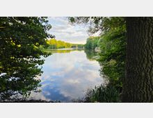 Blick über einen ruhigen See, dessen Wasser den wolkigen Himmel spiegelt, umgeben von dichtem Uferwald. Im Vordergrund rahmen ein großer Baumstamm und überhängende Äste das Bild, am rechten Ufer sind Schilf und Seerosen zu sehen.