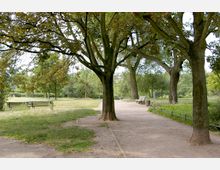 Ein ruhiger Park mit großen Bäumen, einer unbefestigten Spazierwegfläche und grünen Wiesen im Hintergrund. Entlang des Weges stehen mehrere Holzbänke, und eine kleine Metallbegrenzung trennt den Weg von einer Grasfläche.