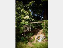 Schattiger Gartenbereich mit dichtem Laub, blühendem Strauch und einem schmalen Pfad neben einer gemauerten Wand. Im Vordergrund steht ein einfaches Metallgestell mit gespannter Leine; daneben liegt eine umgekippte Schubkarre auf einem Haufen aus Zweigen und Gartenmaterial.