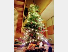 Ein geschmückter Weihnachtsbaum mit leuchtenden Lichterketten, roten Schleifen und Weihnachtskugeln steht in einem Innenraum mit Holztreppe und gelblichen Wänden. Unter dem Baum sind Geschenke und Körbe mit verschiedenen Artikeln platziert.