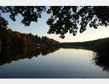 Seeufer mit ruhigem Wasser, umgeben von dicht bewaldeten Ufern. Im Hintergrund befinden sich einige Gebäude, teils von Bäumen verdeckt, während Äste und Blätter die obere Bildkante säumen.