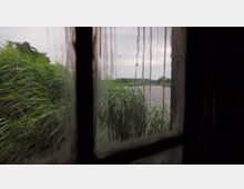 Blick durch ein verschmutztes Fenster auf eine Landschaft mit hohen Schilfpflanzen, einem Fluss und bewölktem Himmel im Hintergrund.