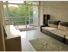 Wohnzimmer mit großen bodentiefen Fenstern, die auf einen Balkon mit Metallgeländer und Blick auf eine grüne Baumlandschaft führen. Raum mit Holzfußboden, beiger Couch, Teppichen und schlichter Einrichtung.