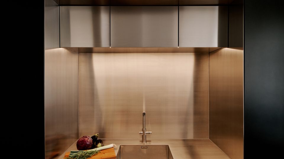 Moderne Küchenzeile aus gebürstetem Edelstahl mit integrierter Spüle und schlichtem Wasserhahn, eingerahmt von hohen Seitenwänden und Oberschränken. Unterbauleuchten beleuchten die Arbeitsfläche, auf der ein Schneidebrett mit Gemüse und Kräutern liegt.