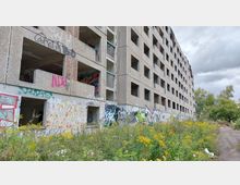 Verlassener, mehrstöckiger Plattenbau mit leeren Fenstern und Wänden, die mit Graffiti bedeckt sind. Im Vordergrund wachsen Wildpflanzen und gelb blühende Sträucher, daneben ein unbefestigter Weg; der Himmel ist bewölkt.