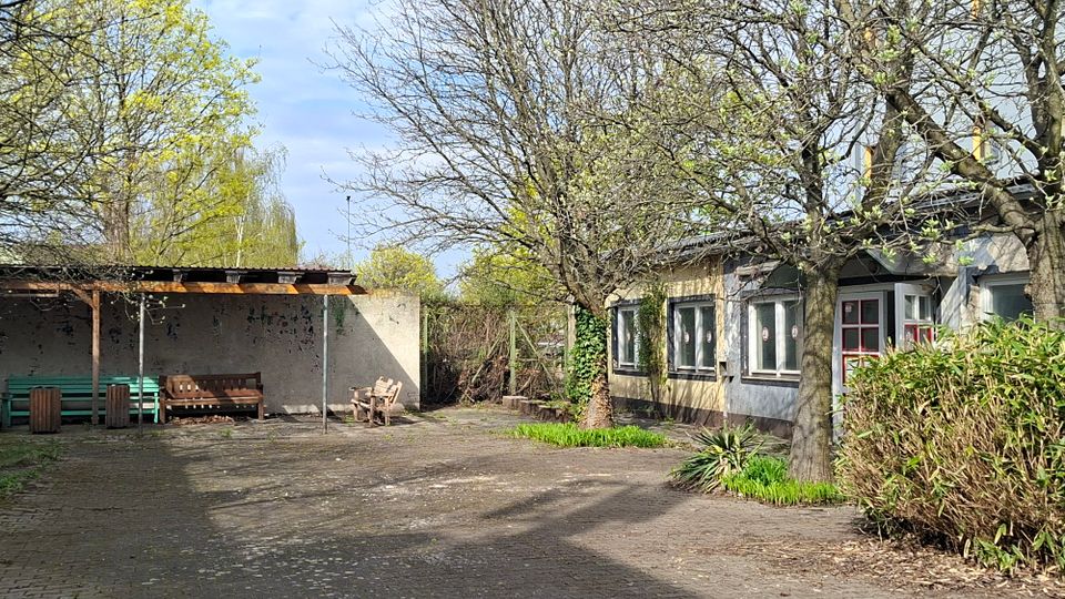 Gepflasterter Innenhof mit mehreren Laubbäumen und Sträuchern, rechts ein flacher Gebäudetrakt mit Fenstern und einer Tür. Links steht ein überdachter Sitzbereich mit Holzbänken vor einer Mauer.